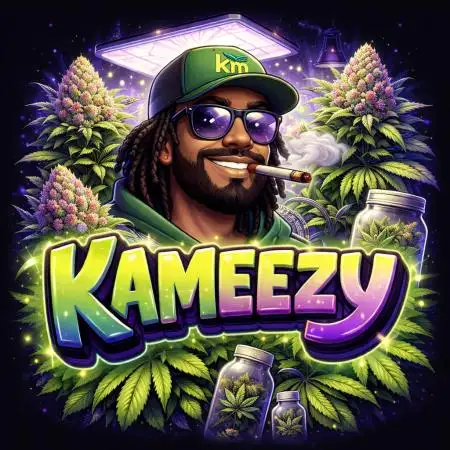 Kameezy
