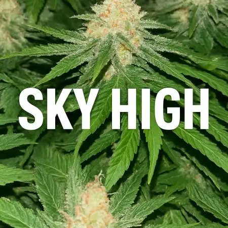 SkyHigh720
