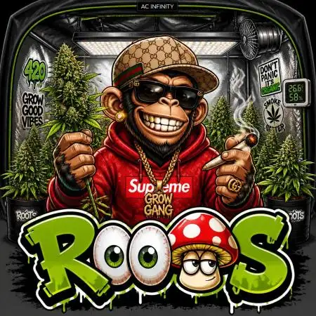 Roots420
