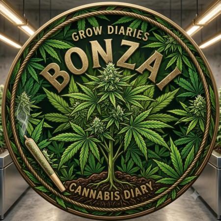 Bonzai