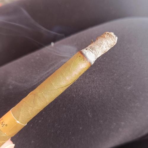 null by GolliGrows