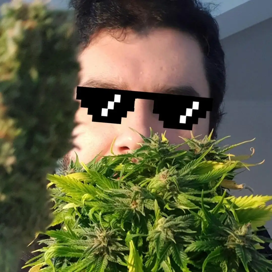 jimifarmer