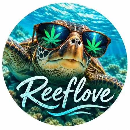 Reeflove