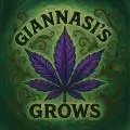 Giannasisgrows