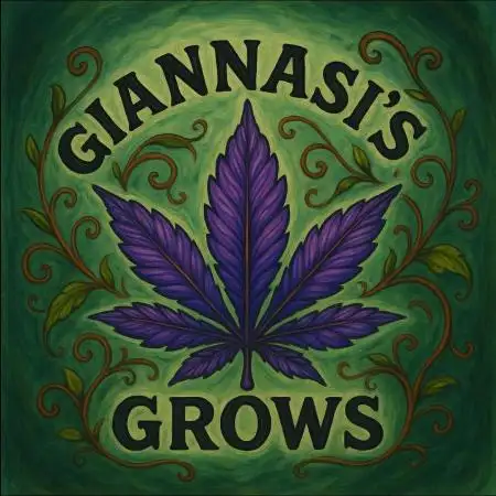 Giannasisgrows