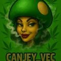 CanJey_Vec