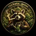 Rockets_grow