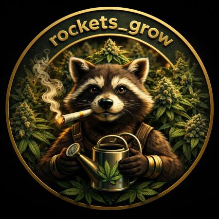 Rockets_grow