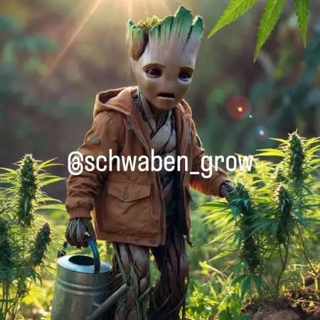 Schwaben_grow