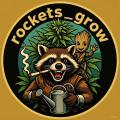 Rockets_grow