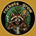 Rockets_grow