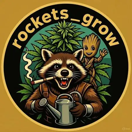Rockets_grow