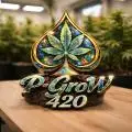 P-grow420