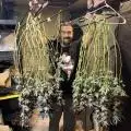 GrizwaldGrows
