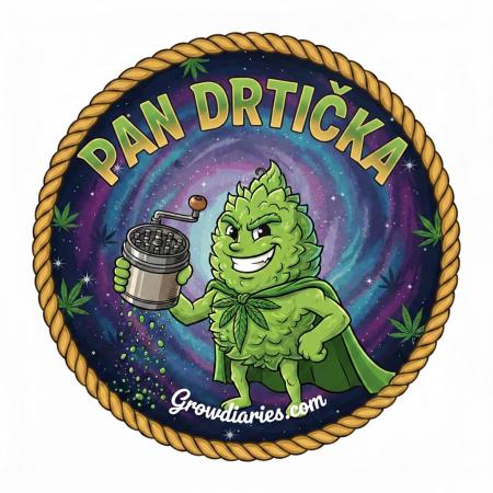 pandrticka