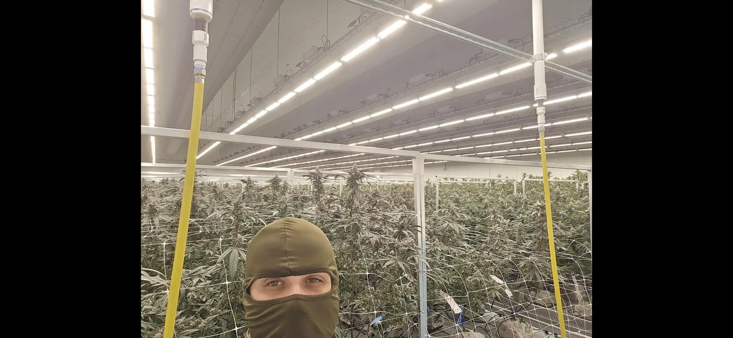 Two5trees