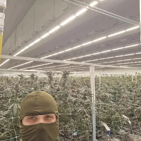 Two5trees