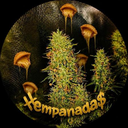 Hempanadas