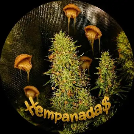 Hempanadas