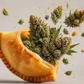 Hempanadas