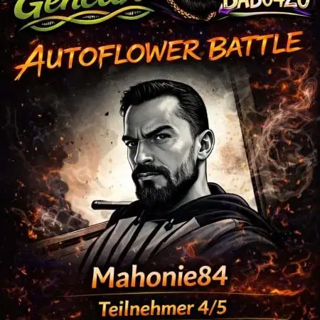 mahonie84