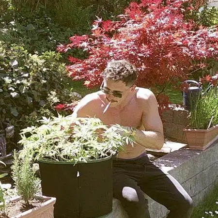sedygrows