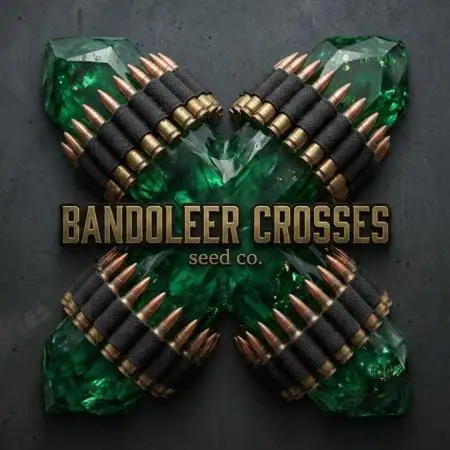 Bandoleer_Crosses