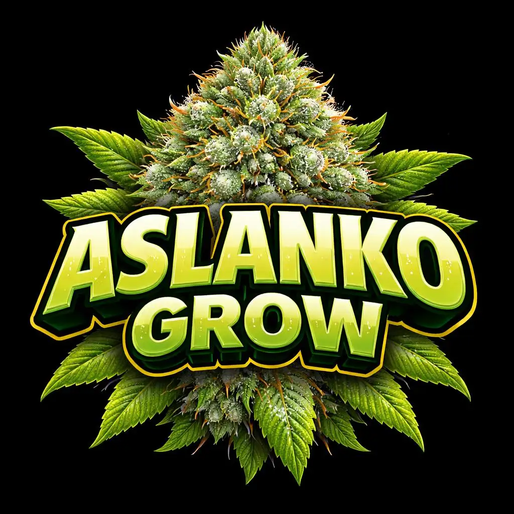 Aslanko