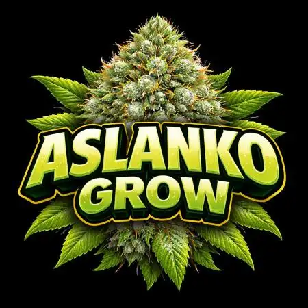 Aslanko