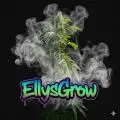 EllysGrow