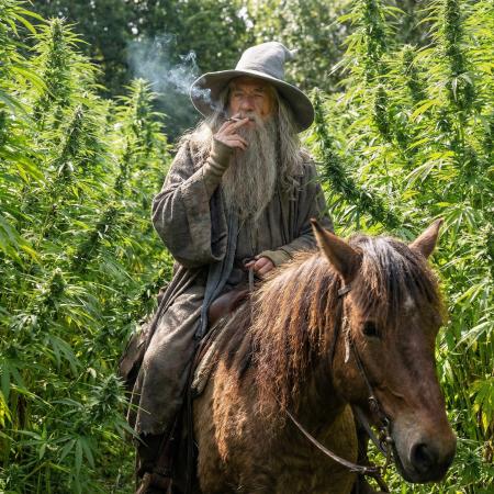 Gandalf-CZ