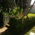 fernandooliveira