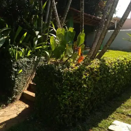 fernandooliveira