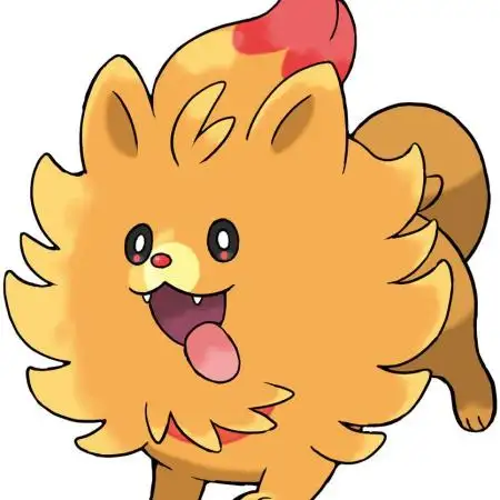 PomBon