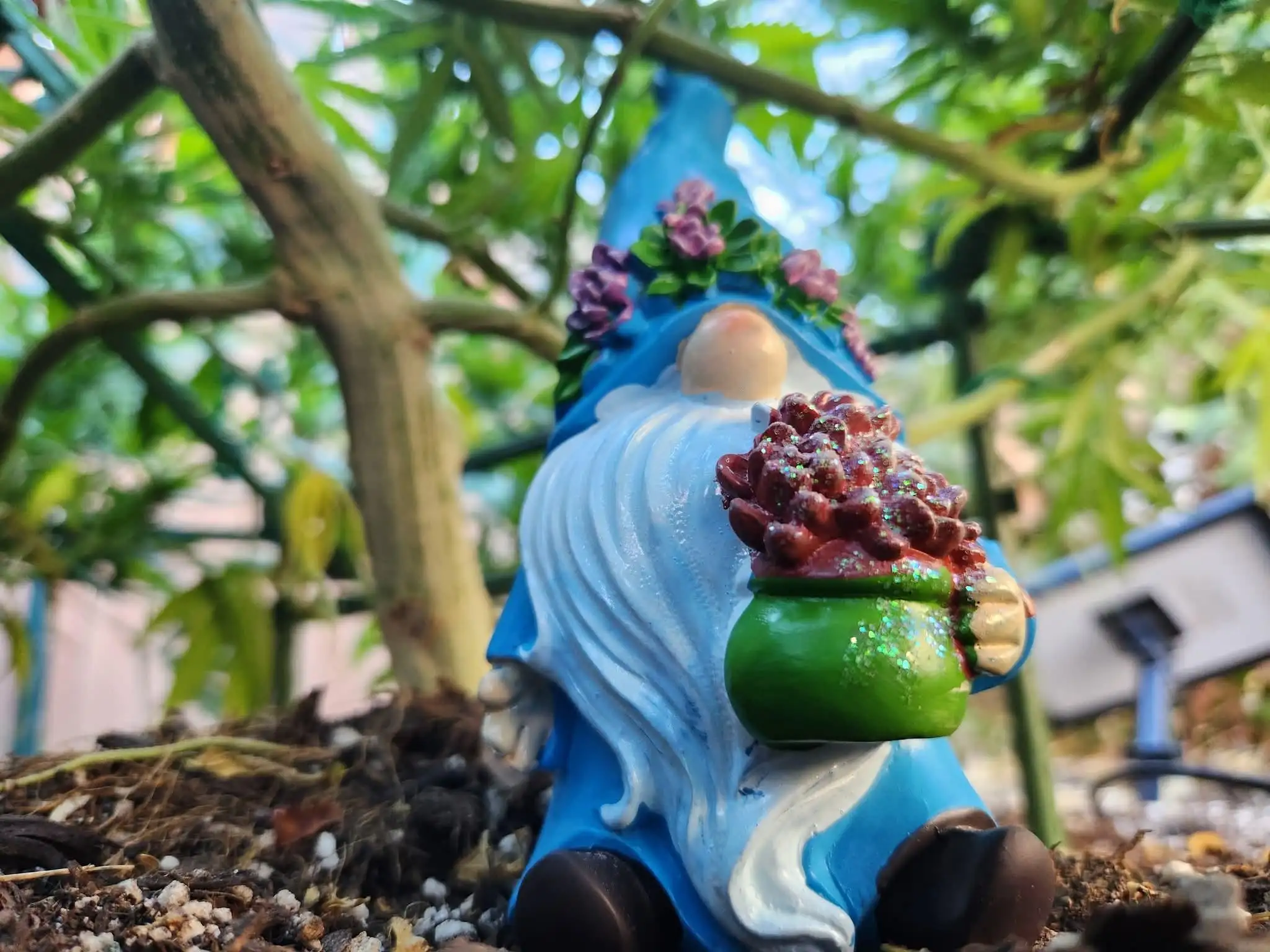 SmokeysGarden