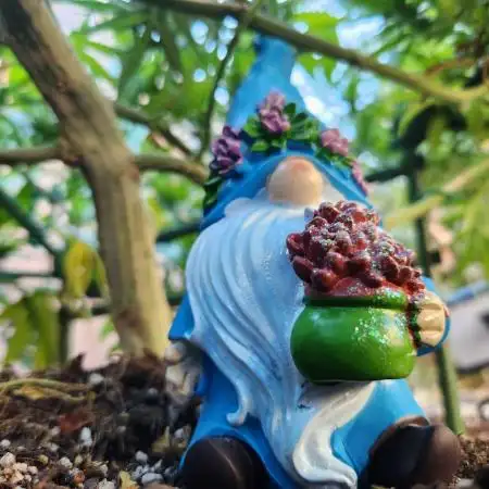 SmokeysGarden