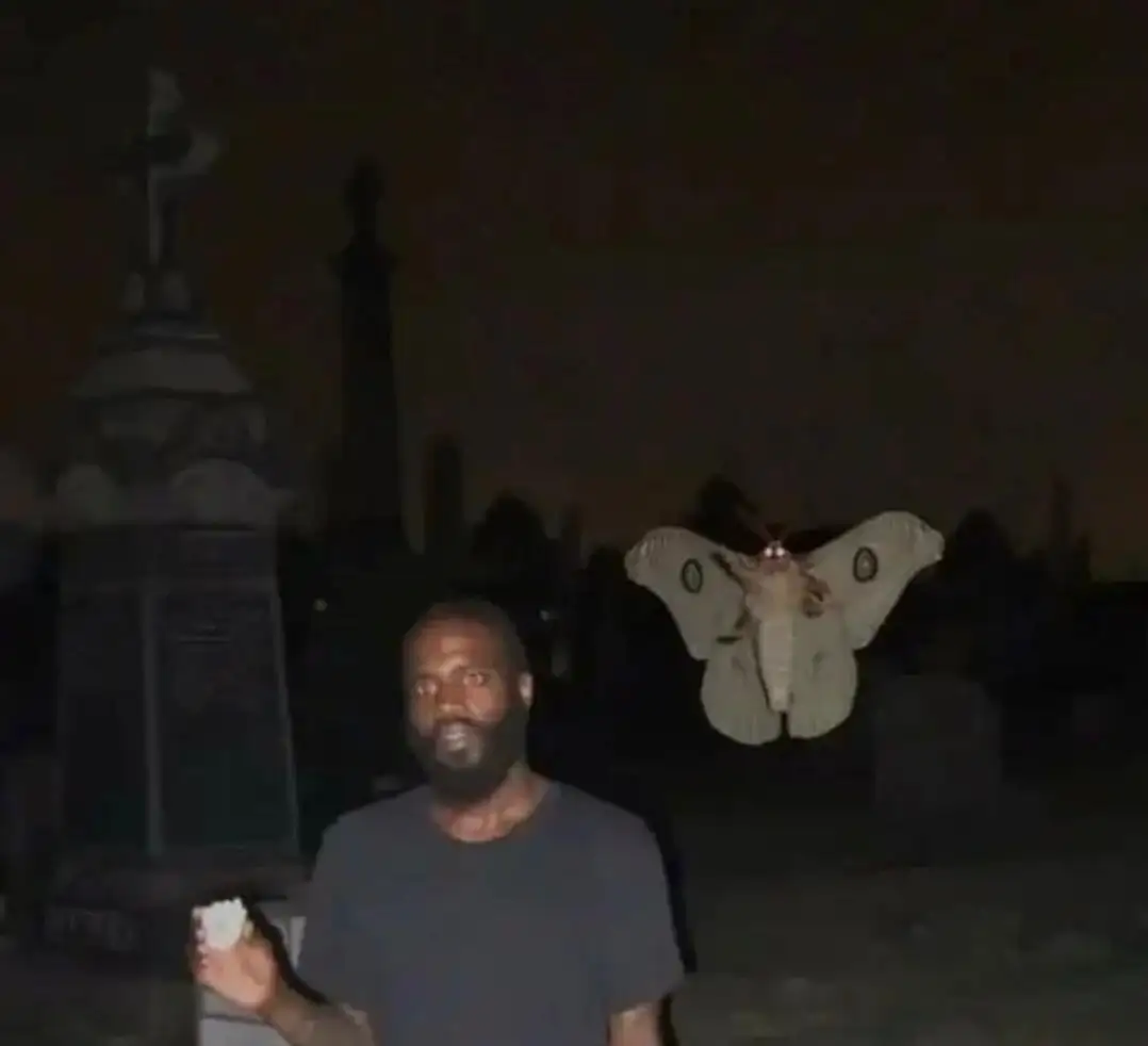 TrippedandFarted