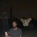 TrippedandFarted