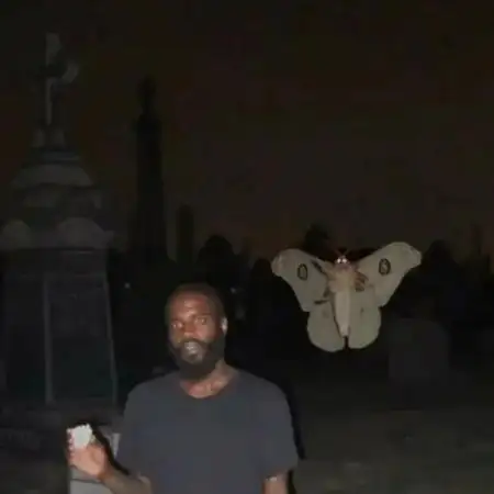 TrippedandFarted
