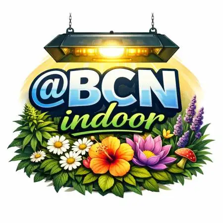 Bcnindoor