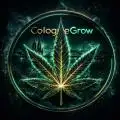 CologneGrow