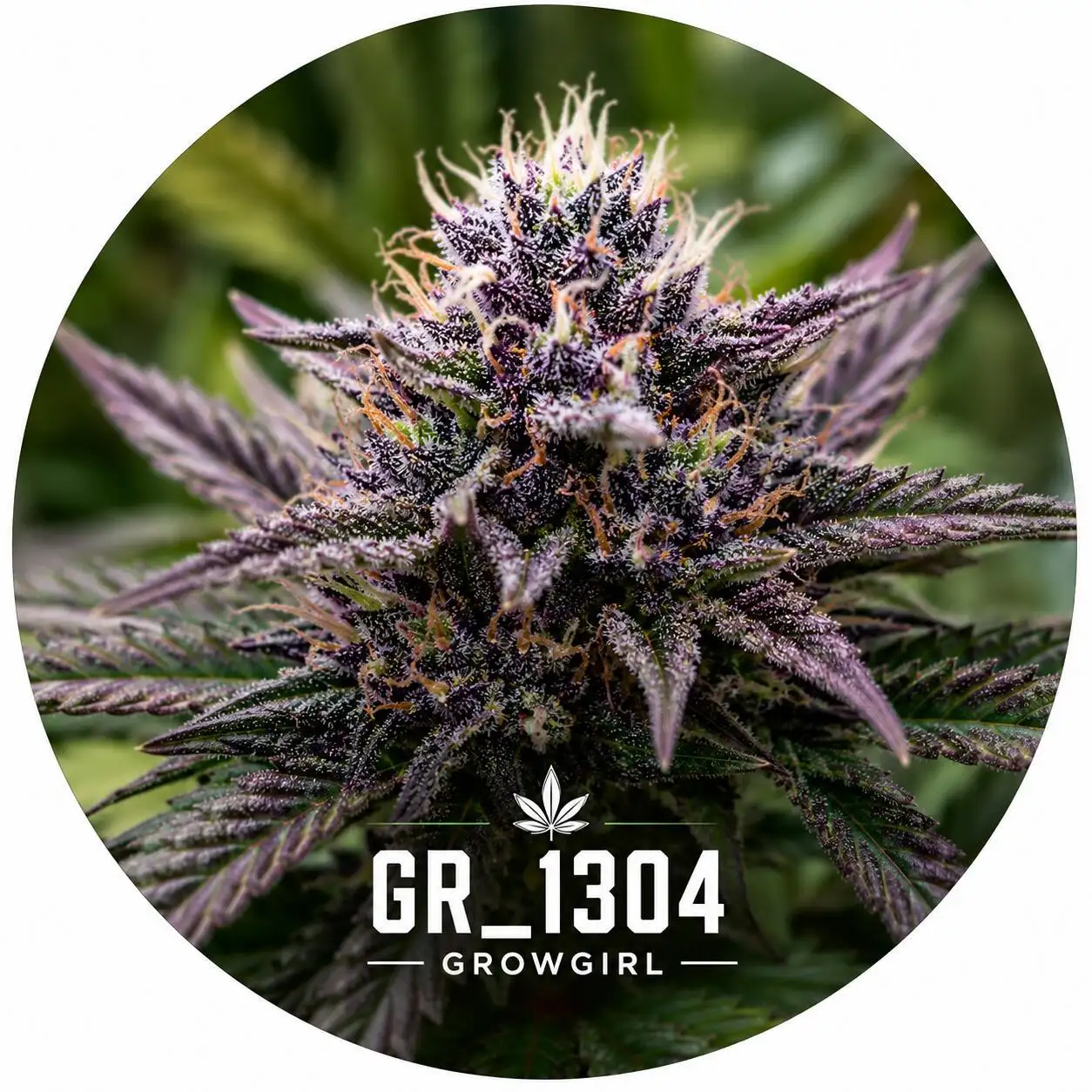GR_1304-GrowGirl