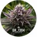 GR_1304-GrowGirl