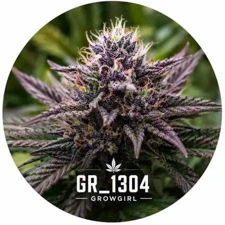 GR_1304-GrowGirl