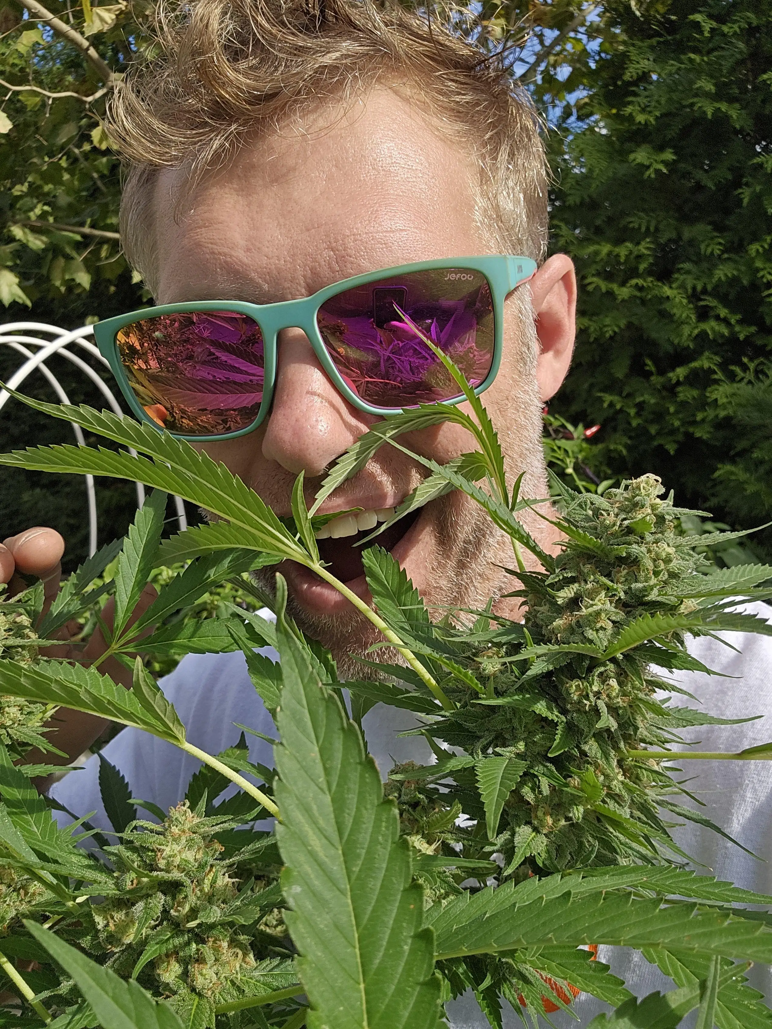 GunnzGrowz