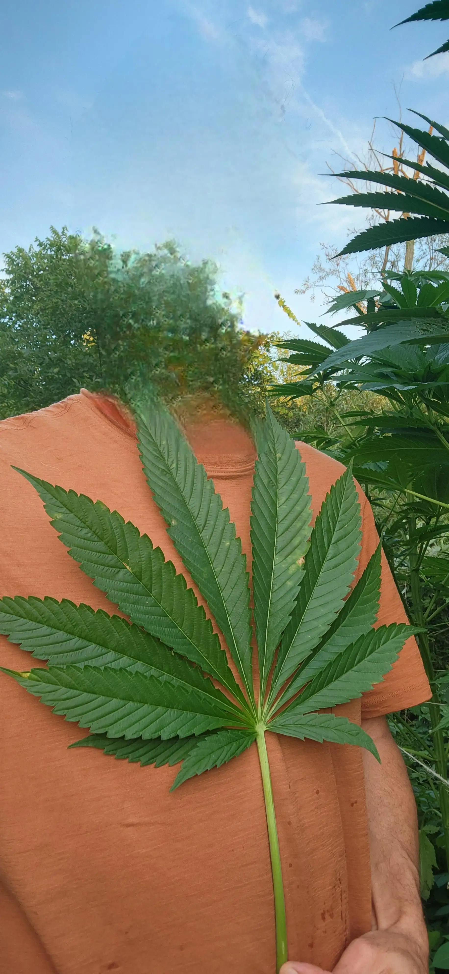 Clandestine_organics