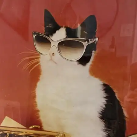 Flappycats