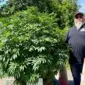 Nukecity420