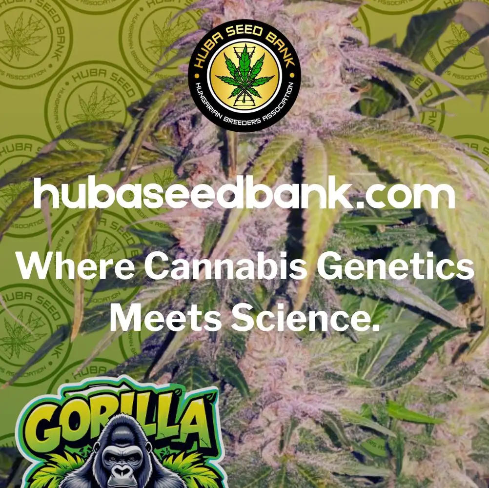 HubaBreedingLab_85