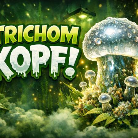 Trichomkopf